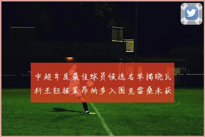 中超年度最佳球员候选名单揭晓瓦科王钰栋莱昂纳多入围克雷桑未获提名