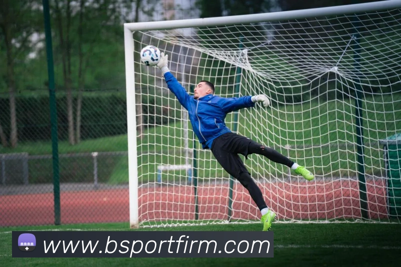 B体育APP 封面图