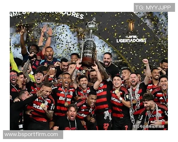 巴西足球盛事帕尔梅拉斯与弗拉门戈争夺南美解放者杯冠军